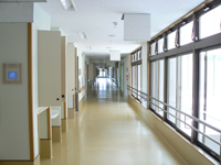 �V�a���L���̗l�q