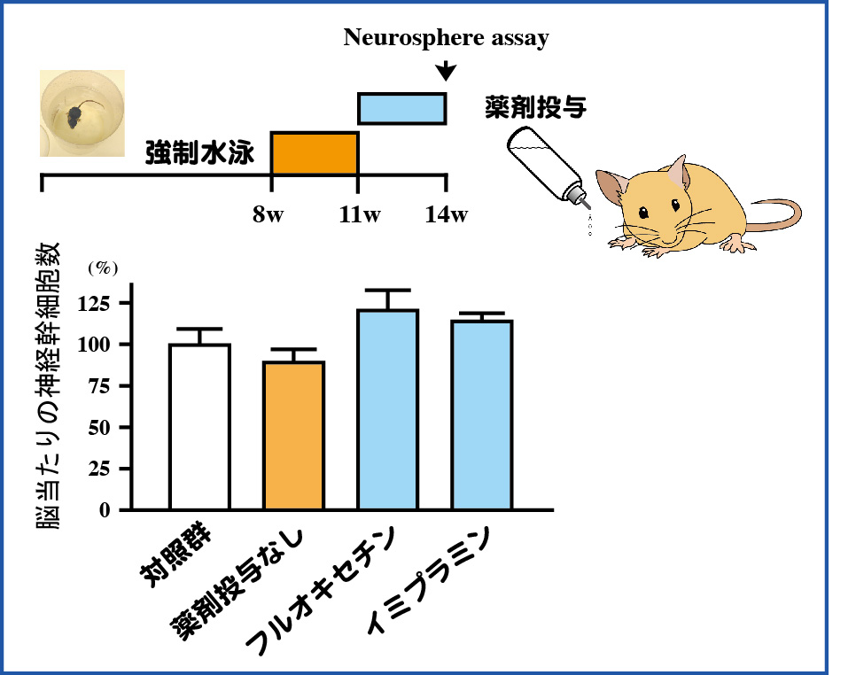 JNR Fig4