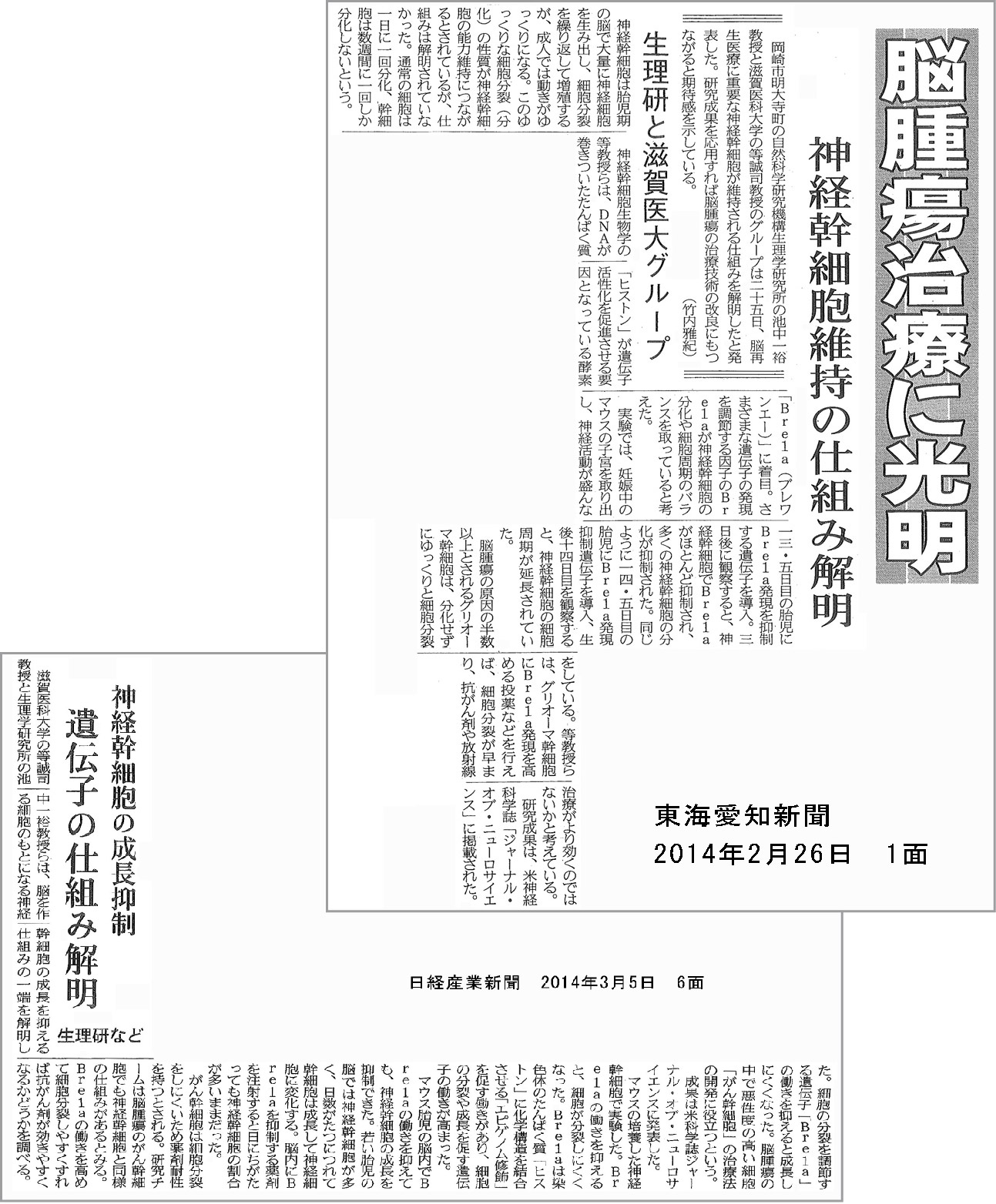 新聞報道