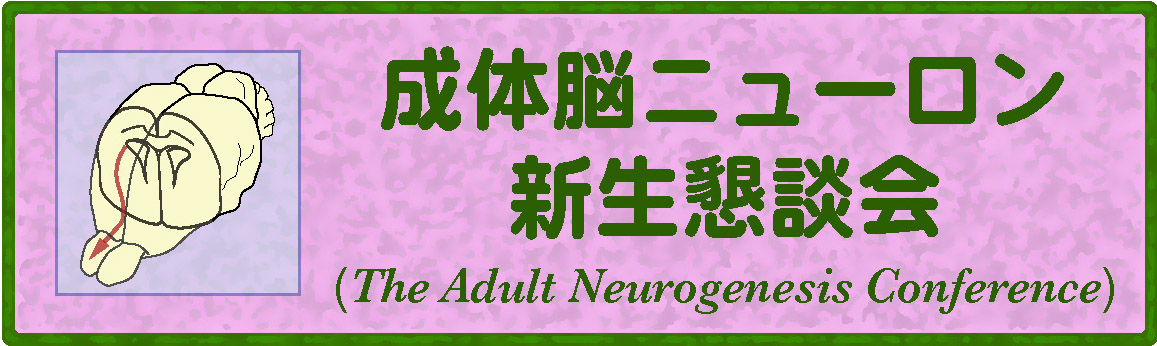 adult neurogenesis