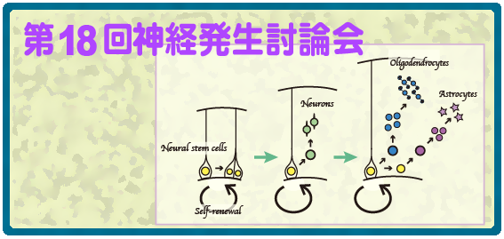 18th Developmental Neuroscientists